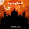 Amazing Mawlid